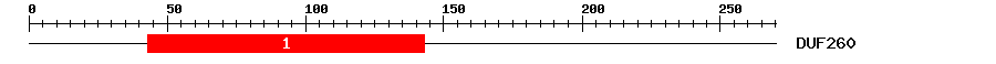 Signature Domain