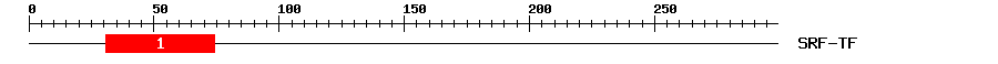Signature Domain