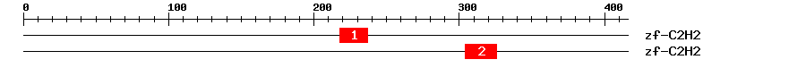 Signature Domain