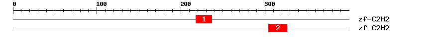 Signature Domain