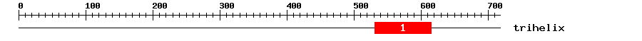 Signature Domain
