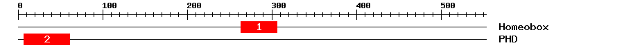 Signature Domain
