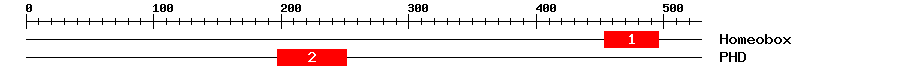Signature Domain
