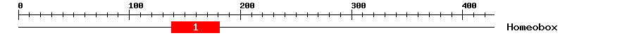 Signature Domain