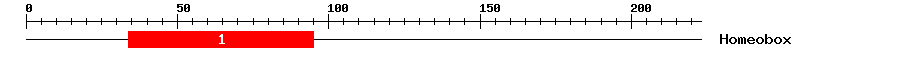 Signature Domain