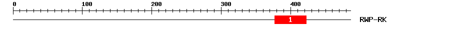 Signature Domain
