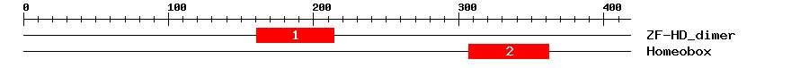 Signature Domain