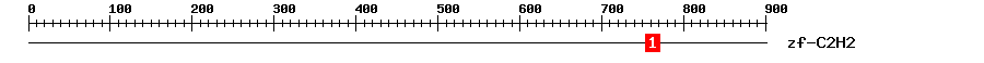 Signature Domain