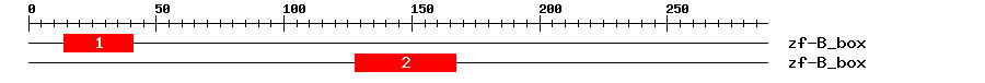 Signature Domain