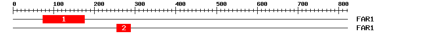 Signature Domain