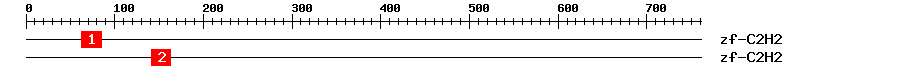 Signature Domain