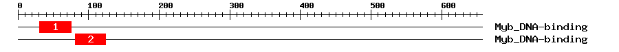 Signature Domain