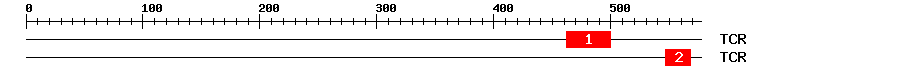 Signature Domain