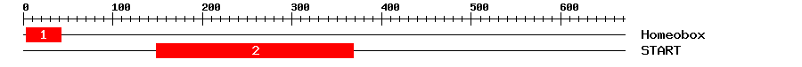 Signature Domain
