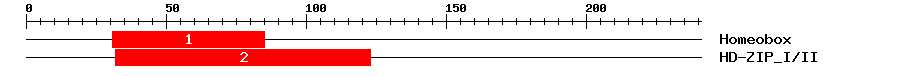 Signature Domain