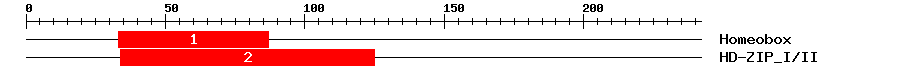 Signature Domain