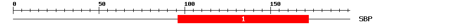 Signature Domain