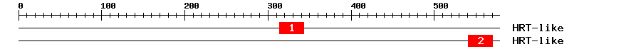 Signature Domain
