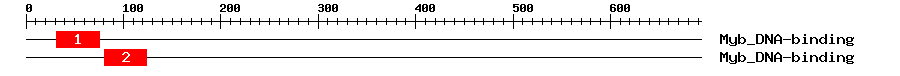 Signature Domain