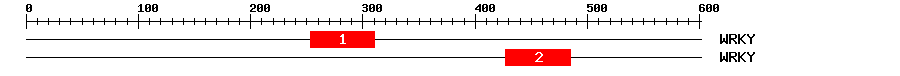 Signature Domain