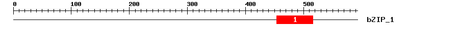 Signature Domain