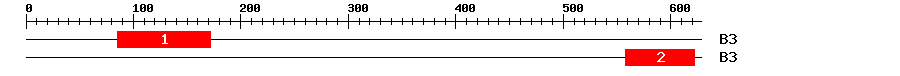 Signature Domain