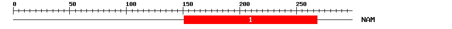 Signature Domain