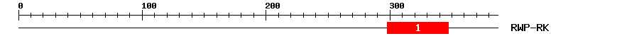 Signature Domain