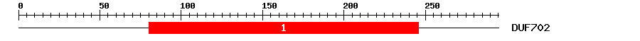 Signature Domain