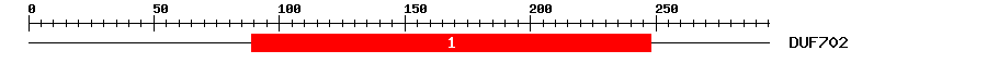 Signature Domain