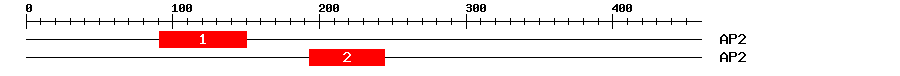 Signature Domain