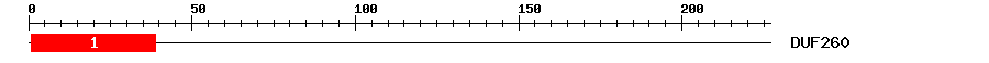 Signature Domain