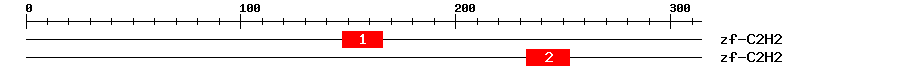 Signature Domain