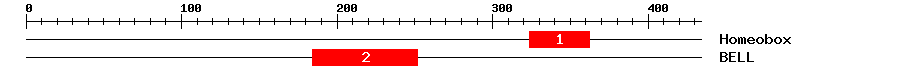 Signature Domain