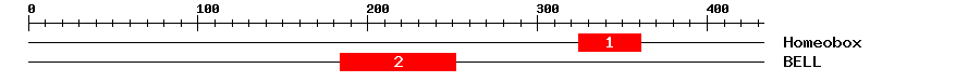 Signature Domain