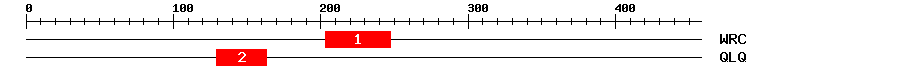 Signature Domain