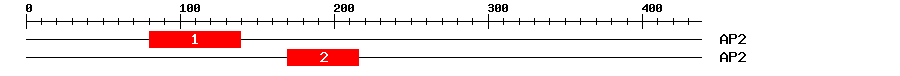 Signature Domain