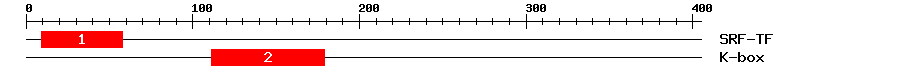 Signature Domain