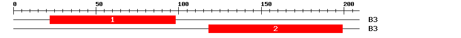 Signature Domain