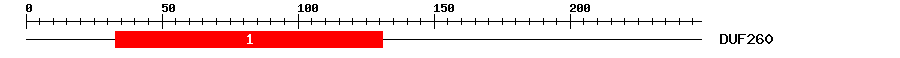 Signature Domain