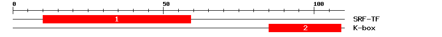 Signature Domain