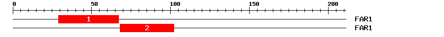 Signature Domain