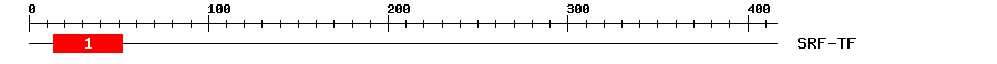 Signature Domain