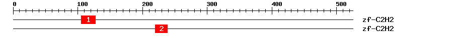 Signature Domain