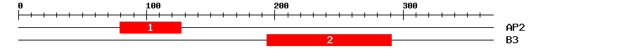 Signature Domain