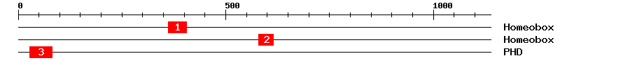 Signature Domain