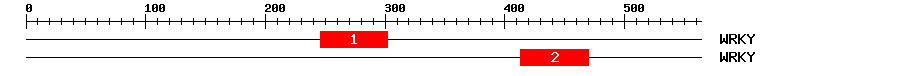 Signature Domain