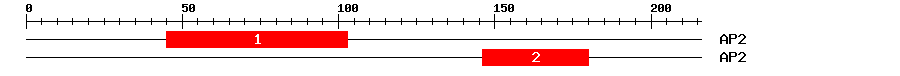 Signature Domain