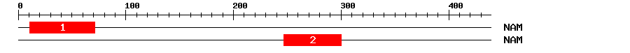 Signature Domain