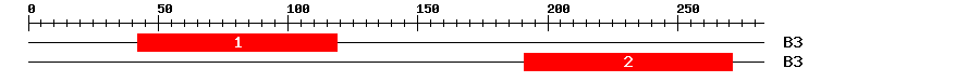 Signature Domain